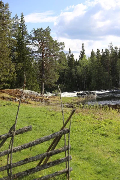 Blick auf eine Liegewiese neben dem schwedischen Fluss Ammerasn — Stockfoto