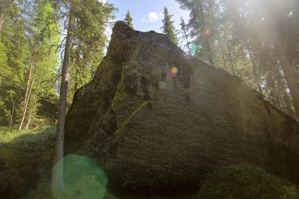 Gran roca con bengalas de lentes en el bosque sueco —  Fotos de Stock