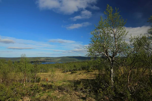 Blick über Sümpfe bei Bakvattnet in Schweden — Stockfoto