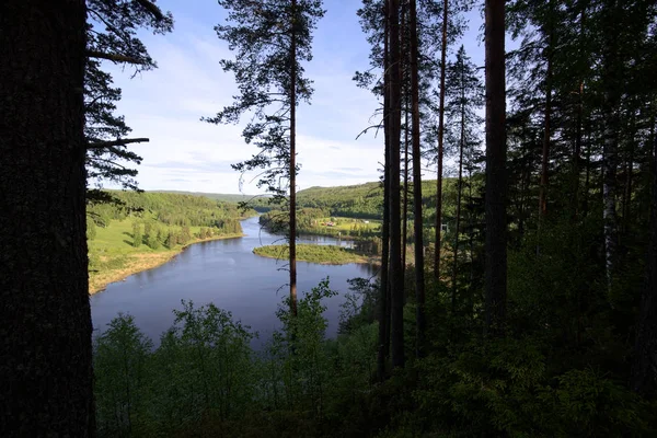 Aussicht auf den Fluss Naemforsen in Naesaaker in Schweden — Stockfoto