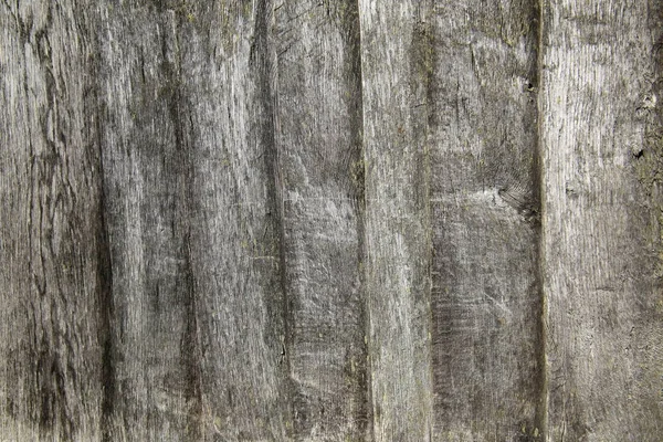 Macro shot de planches en bois utilisables comme texture — Photo