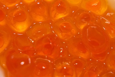 Makro çekim bazı taze somon Karaca