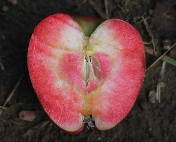 Tvärsnitt av röd Love Apple — Stockfoto