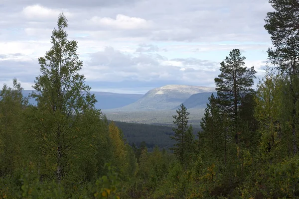 Vista sobre o parque nacional norueguês Fulufjellet do sul — Fotografia de Stock