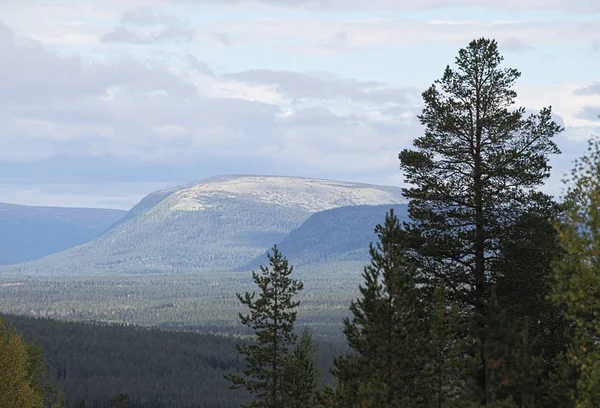 Vista sobre o parque nacional norueguês Fulufjellet do sul — Fotografia de Stock