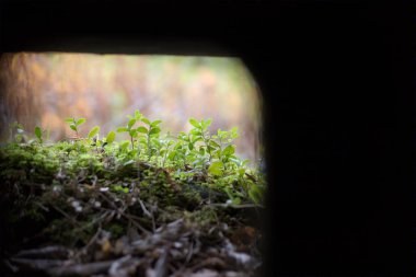 Bir sığınakta küçük bir deliğe soyut çekim