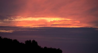 Ağaç siluetleri ile sonbaharda renkli bir günbatımı gökyüzü