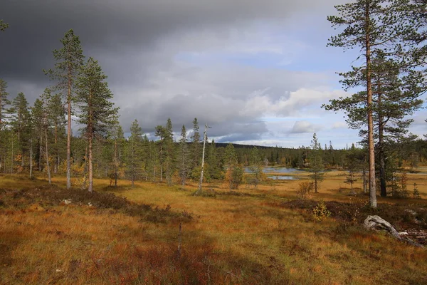 Sjöar i Myrflodammen nära saelen, Sverige den september dag — Stockfoto