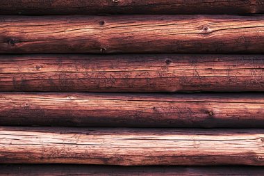 Böcekler tarafından yapılan bir groove ve delik yapısı ile ahşap günlükleri