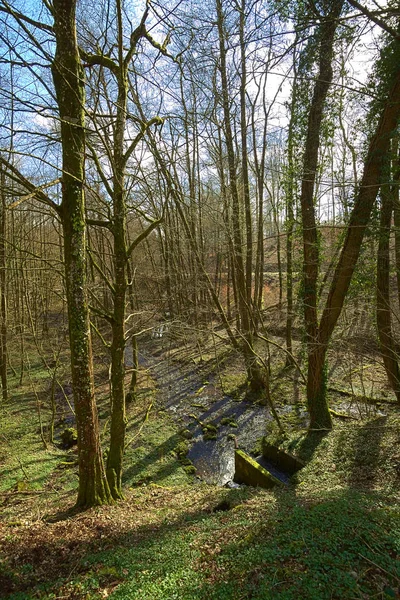 Liten bäck Soultzbach nära Langensoultzbach, Vosges, Frankrike — Stockfoto
