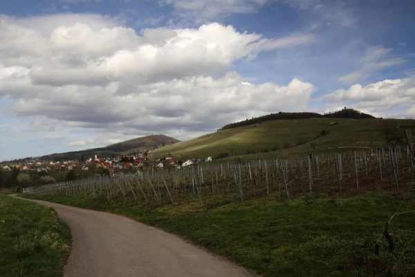 Prohlédněte si vinice a město Neuweier, Baden-Wurttemberg, Německo. Zřícenina hradu Yburg je vidět na pozadí — Stock fotografie