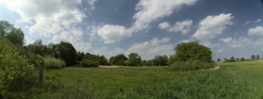 Greifswald, Almanya yakınındaki doğal anıt panoramik manzaralı: Fnd Trollblumenwiese und Trockenhang bei Weitenhagen