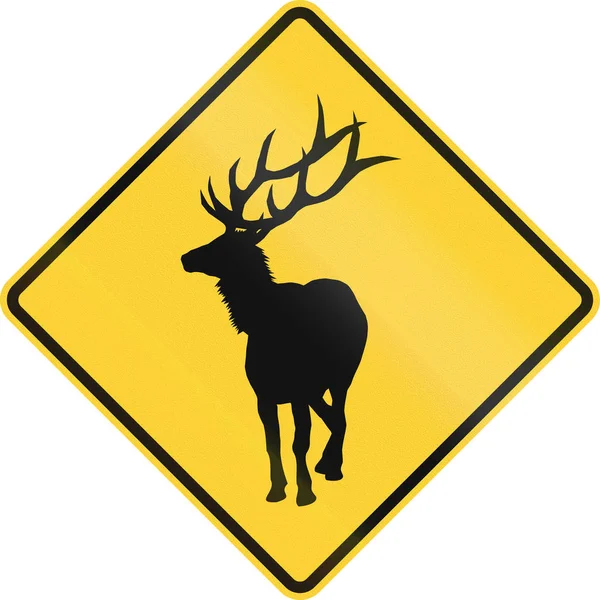 Stany Zjednoczone Mutcd znak drogowy - ostrzeżenie dużych dzikich zwierząt w pobliżu (elk) — Zdjęcie stockowe