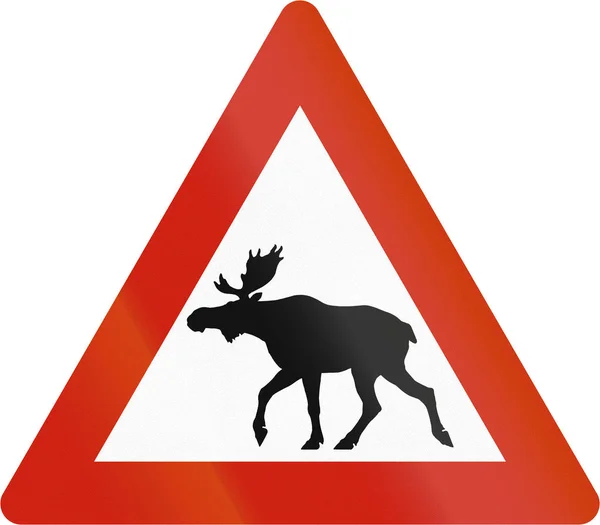 Señal de advertencia de carretera noruega - Moose crossing —  Fotos de Stock