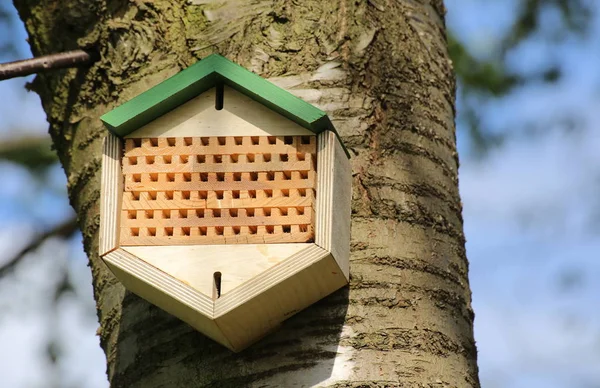 Hotel de insetos instalado em uma macieira — Fotografia de Stock