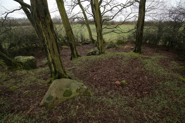 Restos de tumba megalítica Neu Negentin en Mecklemburgo-Vorpommern, Alemania — Foto de Stock
