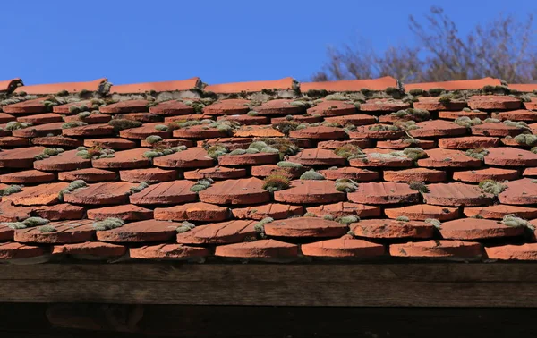 Dachziegel mit Moos vor blauem Himmel — Stockfoto