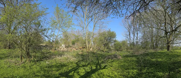 Panorama z Wuestung Spiegelsdorf w kraju związkowym Meklemburgia Pomorze Przednie. Wieś została porzucona dawno temu w 1920 roku — Zdjęcie stockowe