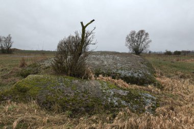 Neu Dargelin, Mecklenburg-Vorpommern, Germany, düzensiz bloğu