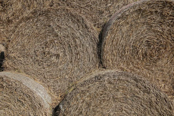 Image of heap of hay bales usable as background — Stock Photo, Image