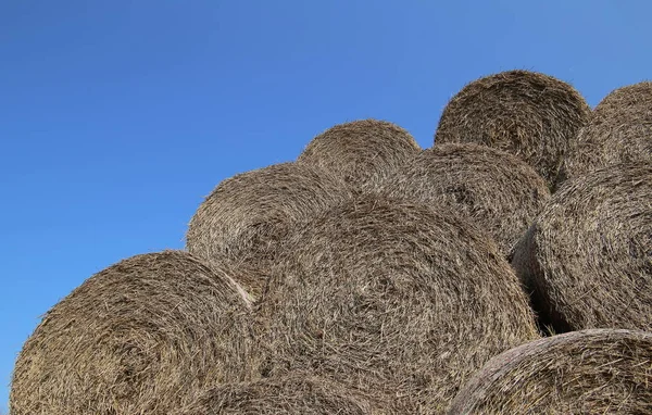 Image of heap of hay bales with a blue sky — Stock Photo, Image