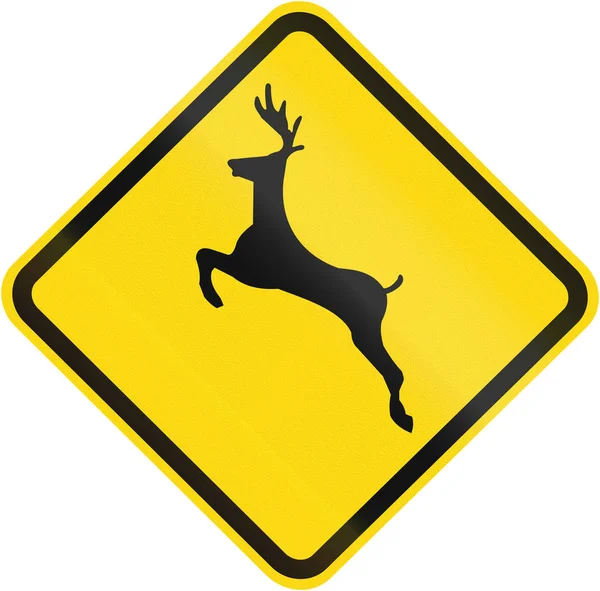 브라질에서 사용 되는 경고 표시를 건너 사슴 — 스톡 사진