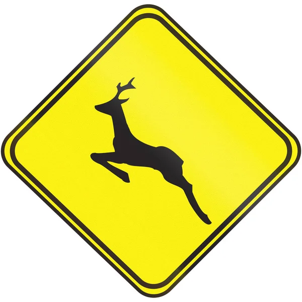 Señal de tráfico utilizada en Uruguay - Cruce de ciervos —  Fotos de Stock
