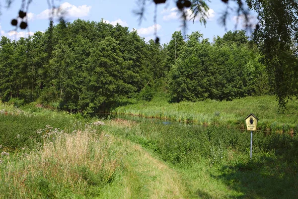 Krajina chráněná krajinná oblast Unteres Peenetal (Pomořansko-Greifswald), jižně od Greifswald, Německo — Stock fotografie