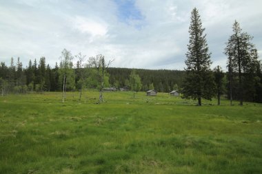 Doğa rezerv Tandovala Dalarna, İsveç'te tarihsel dağ evi