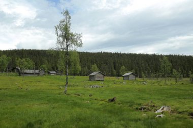 Doğa rezerv Tandovala Dalarna, İsveç'te tarihsel dağ evi