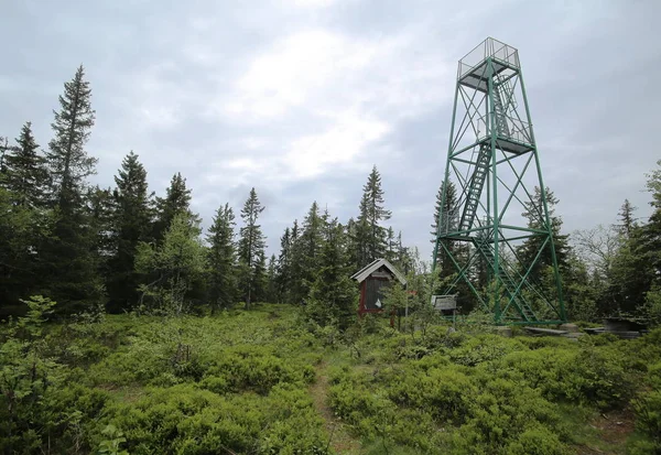 Vaermland İsveç'te Granberget üzerinde göz-out