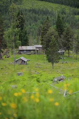 Ransbysaetern, geleneksel bir dağ evi Vaermland, İsveç
