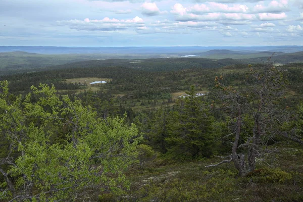 Panoramiczny widok z Storvarden w rezerwacie przyrody Tandoevala w Dalarna, Szwecja — Zdjęcie stockowe