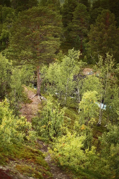 Chemin Sur Une Colline Près Abisko Suède — Photo