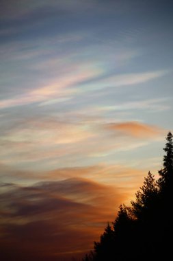 Orman siluetinin üzerinde sabah bulanık bulutlar.