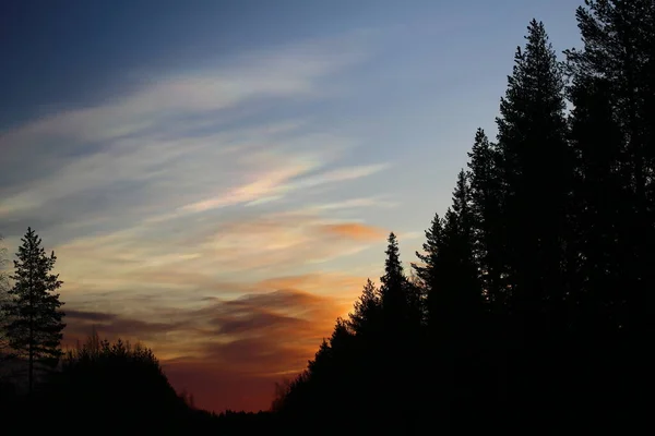 Ночные Облака Утром Над Лесным Силуэтом — стоковое фото