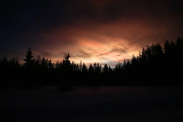 Nuvens Nacreous Cumulus Crepúsculo Sobre Silhuetas Árvores — Fotografia de Stock