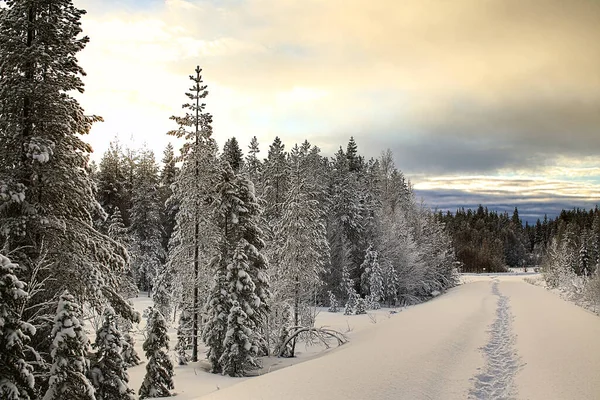 Śnieżna Droga Stopniami Vasterbotten Szwecja — Zdjęcie stockowe