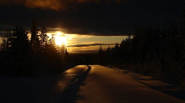 スウェーデンのVasterbottenに足跡を残す雪の道のバックライトイメージ — ストック写真