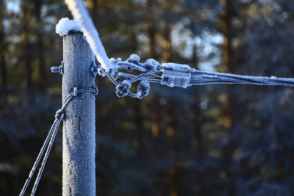 Linha Energia Congelada Temporada Inverno Sueca — Fotografia de Stock