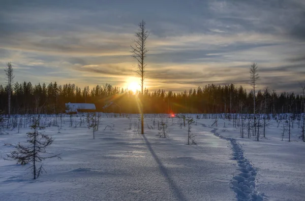 Zimowy Zachód Słońca Nad Farmą Szwedzkiej Laponii — Zdjęcie stockowe