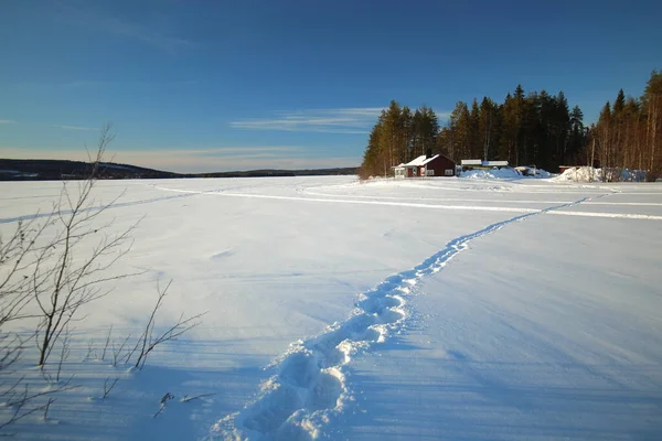 Footsteps on frozen solid lake Norsjon in Vasterbotten, Sweden.