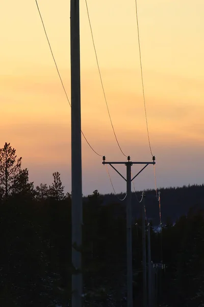 Stromleitungen Reflektieren Abendsonne Schwedischen Winter — Stockfoto
