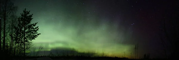 Kilátás Északi Fényekre Téli Erdőkre — Stock Fotó