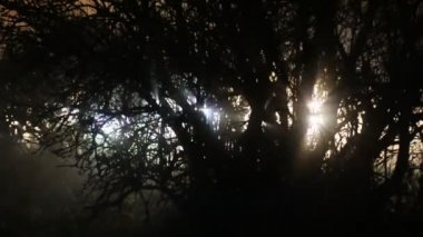 Arabalar gece eşsiz ışık efektleri yaratır.