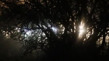 Arabalar gece eşsiz ışık efektleri yaratır.