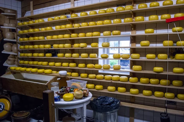 Antigua fábrica de quesos en el pueblo de Zaanse Schans . — Foto de Stock
