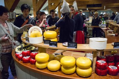 Zaanse Schans 'da geleneksel Hollanda peyniri tatmak, Zaandam.