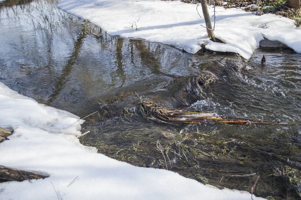 Rivière Source Est Libérée Glace Fusion Glace Réchauffement Vue Rapprochée — Photo