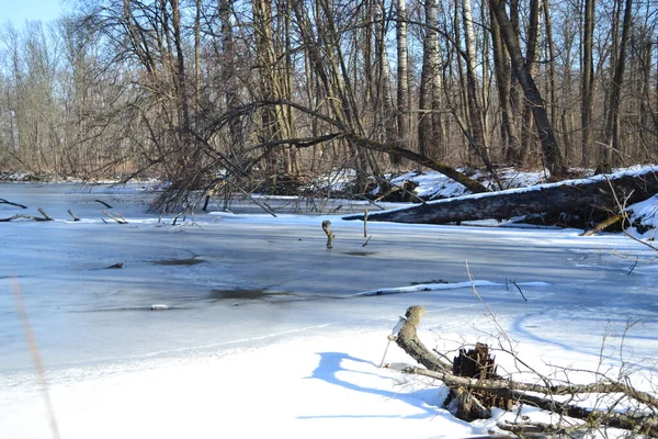 Beautiful winter landscape. — Stock Photo, Image